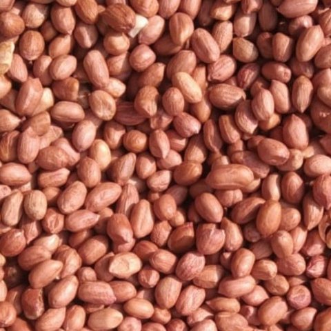 KACANG TANAH 250G