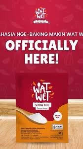 WAT WET GULA SERBUK 500G
