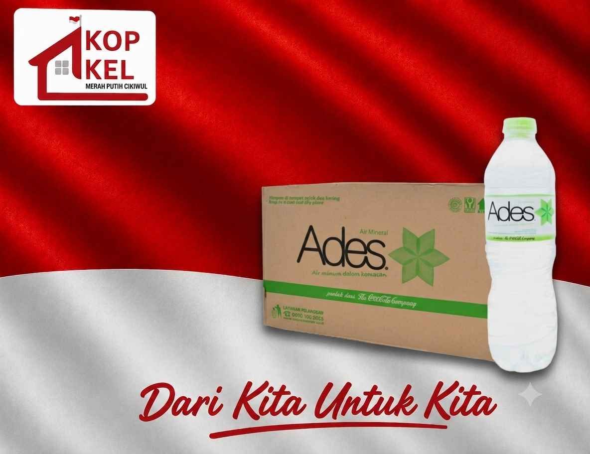 ADES 600ML