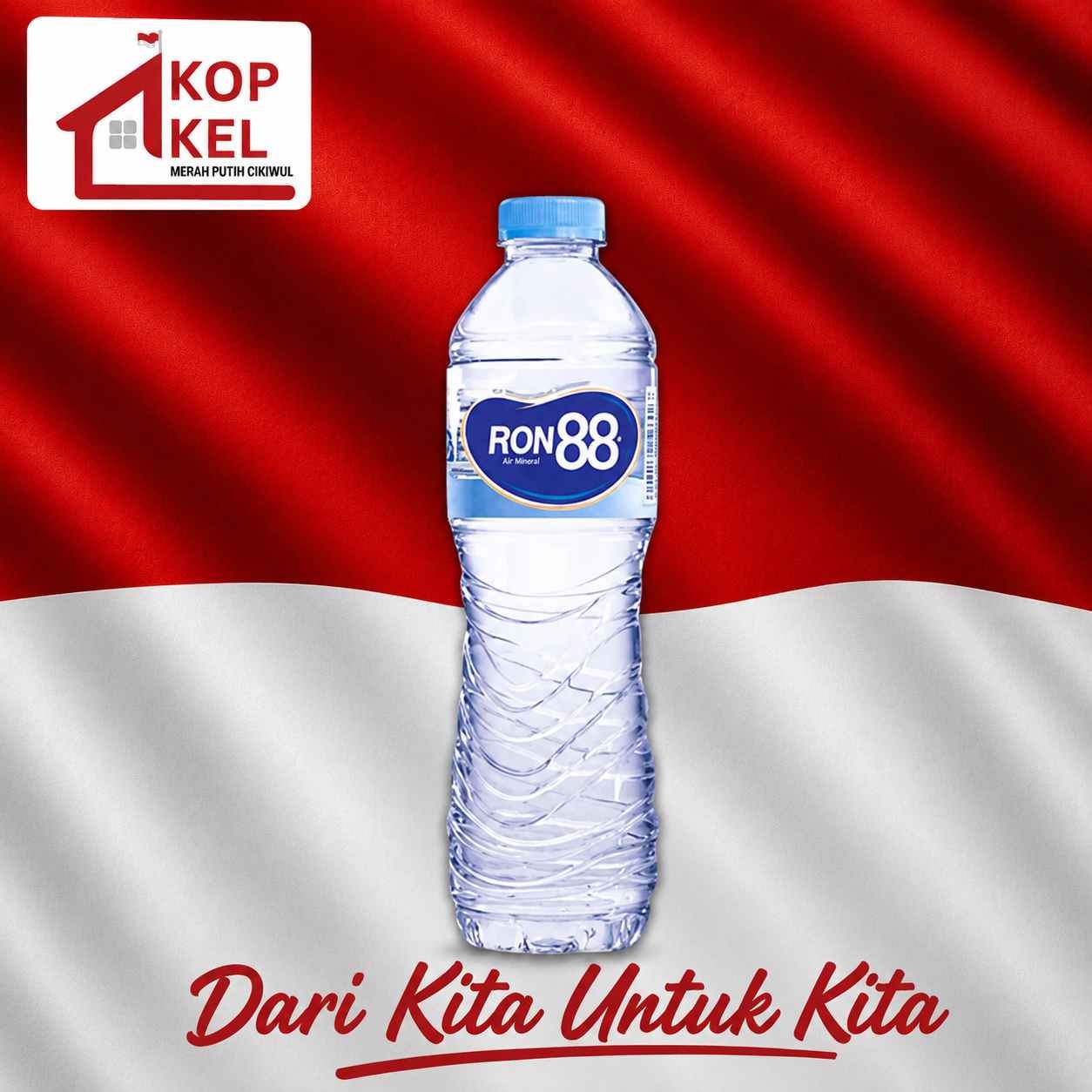 RON88-240ML