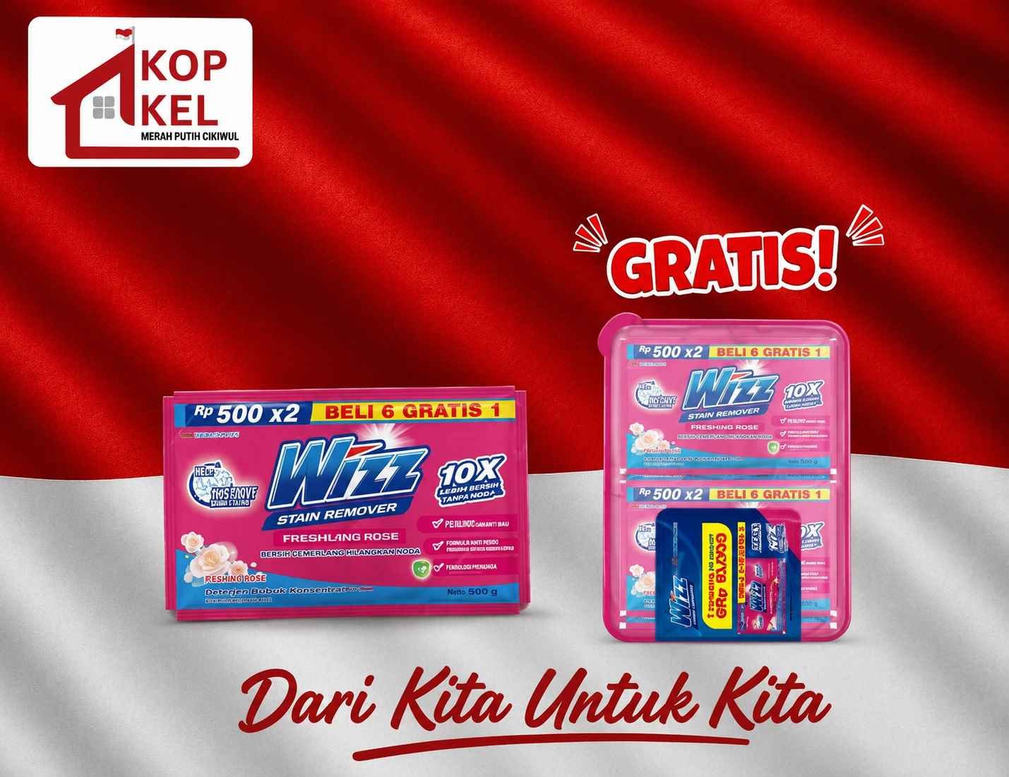 WIZZ STAIN RENOVER 28ML