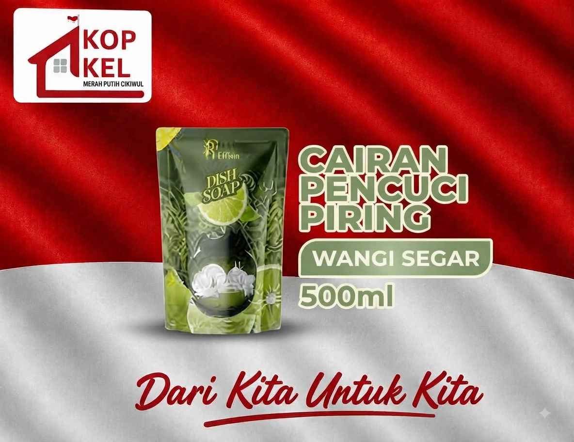 ERFIIN DISH SOAP 500ML